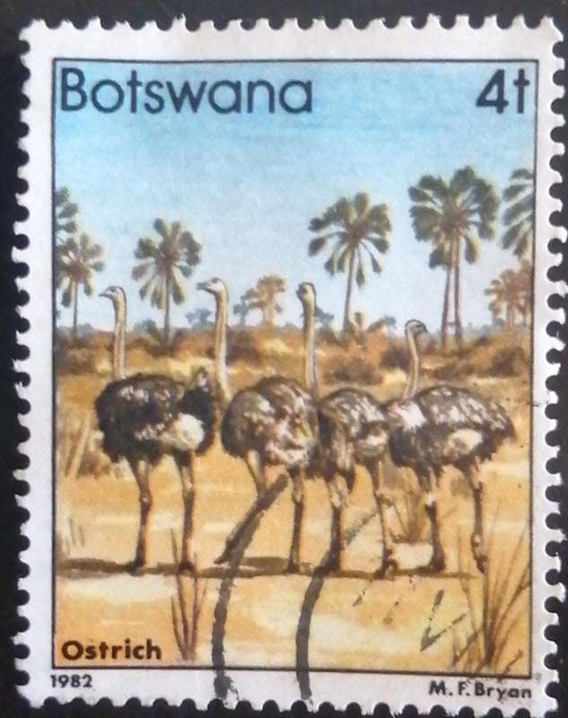 Stamp Botswana 1982 Birds