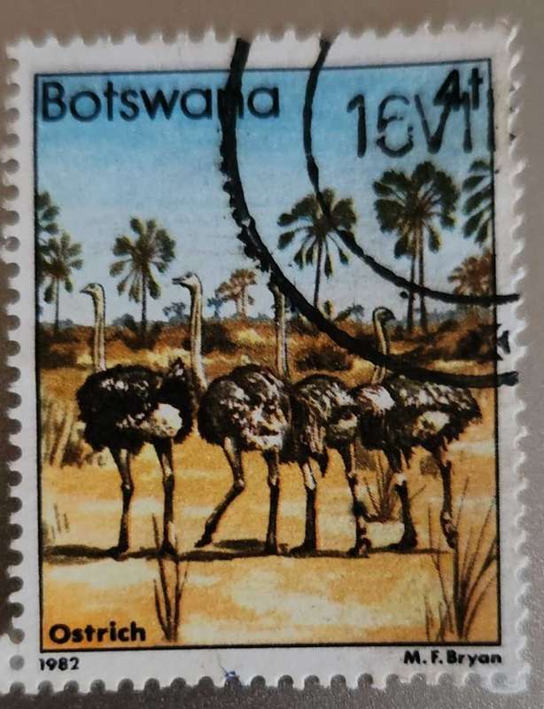 Stamp Botswana 1982 Birds