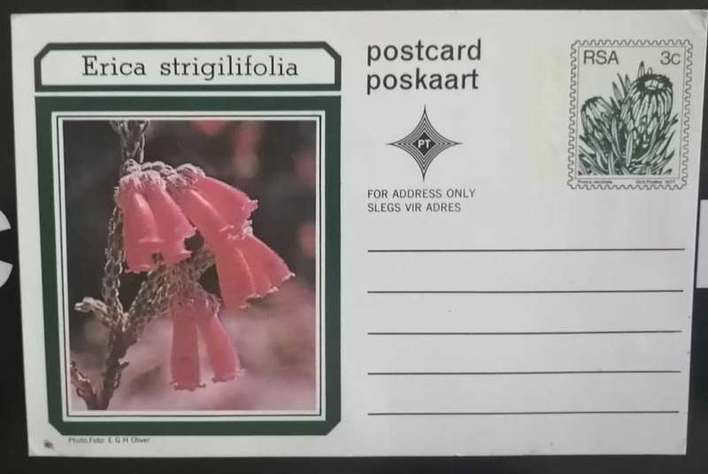 Post Card Pre-Paid Post Card