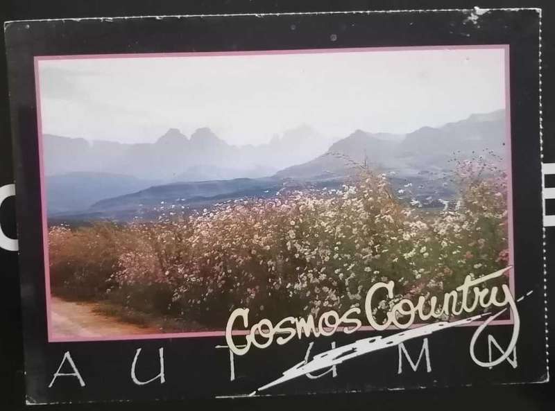 Post Card Not used