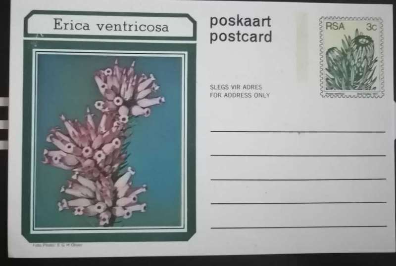 Post Card Pre-Paid Post Card