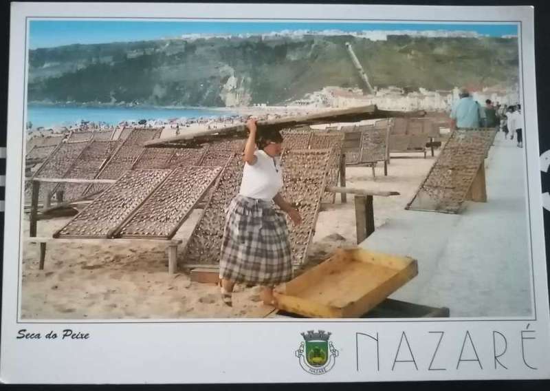Post Card Not used