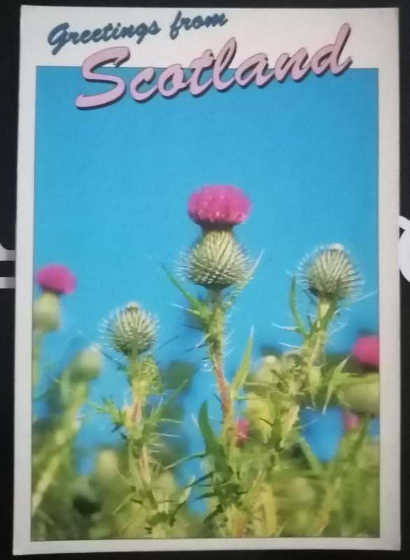 Post Card Not used
