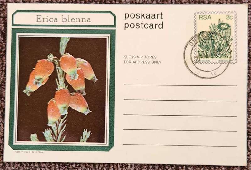 Post Card Pre-Paid Post Card