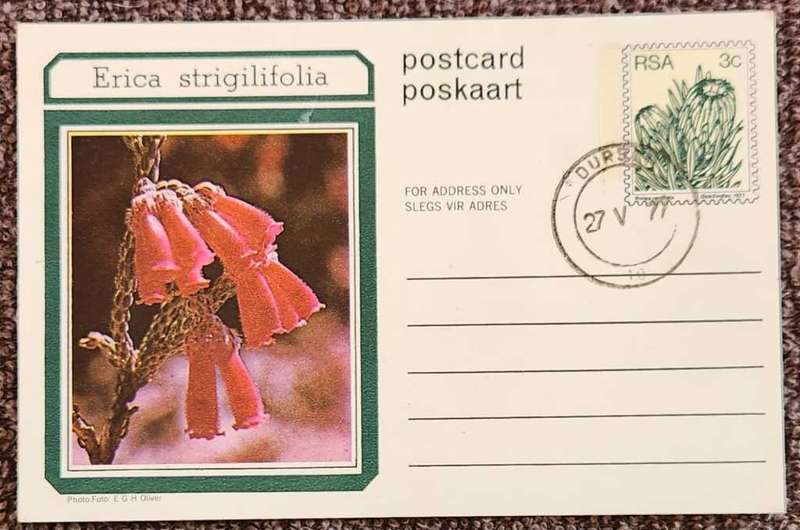 Post Card Pre-Paid Post Card