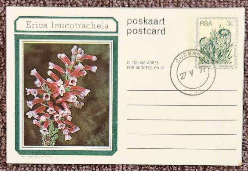 Post Card Pre-Paid Post Card