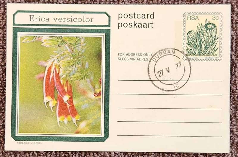 Post Card Pre-Paid Post Card