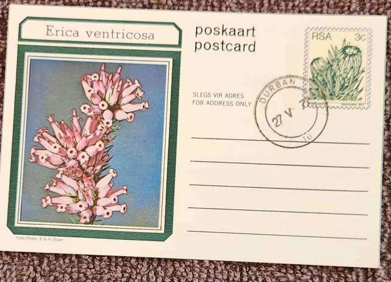 Post Card Pre-Paid Post Card