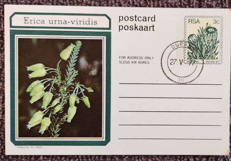 Post Card Pre-Paid Post Card