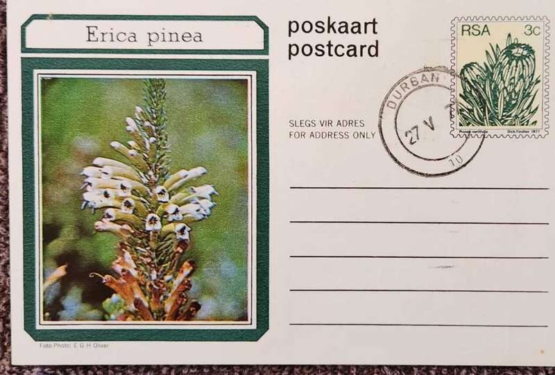 Post Card Pre-Paid Post Card