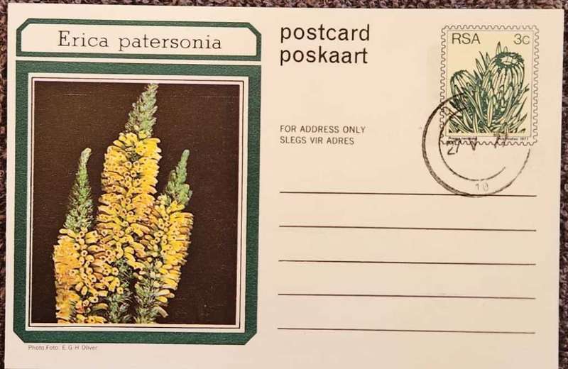 Post Card Pre-Paid Post Card