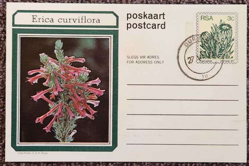 Post Card Pre-Paid Post Card