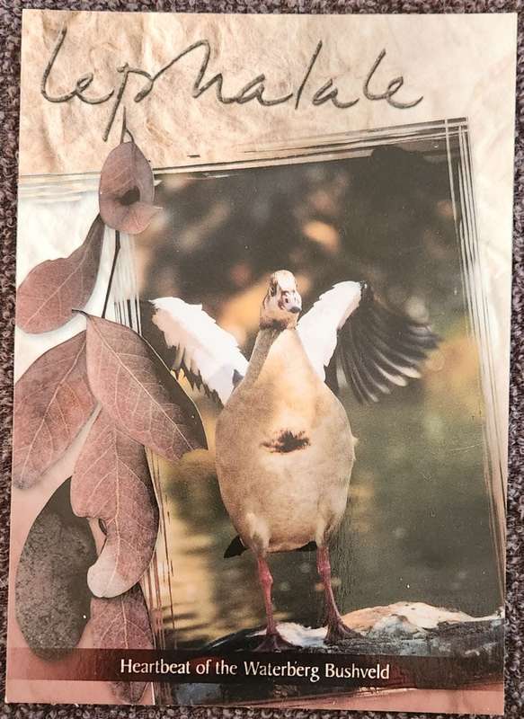 Post Card Not used
