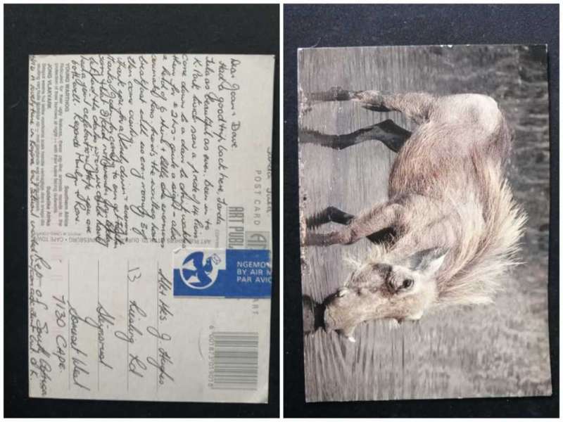 Post Card used