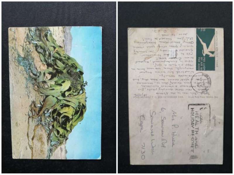 Post Card used
