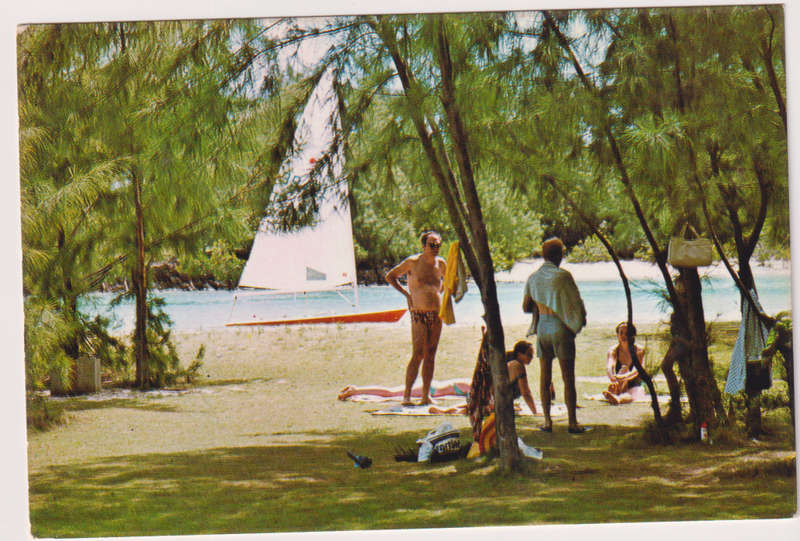Post Cards / Maxi Card not used