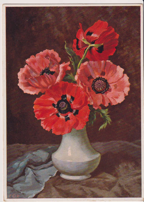 Post Cards / Maxi Card not used