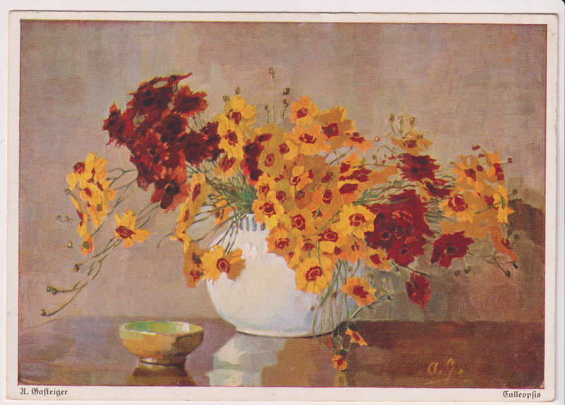 Post Cards / Maxi Card not used