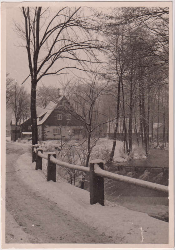 Post Cards / Maxi Card not used