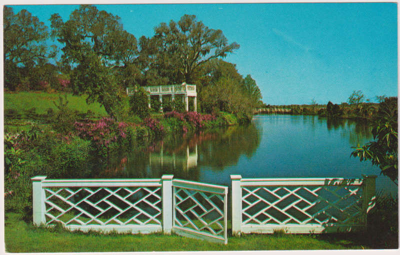 Post Cards / Maxi Card not used