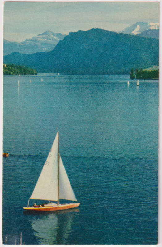 Post Cards / Maxi Card not used
