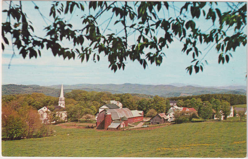 Post Cards / Maxi Card not used