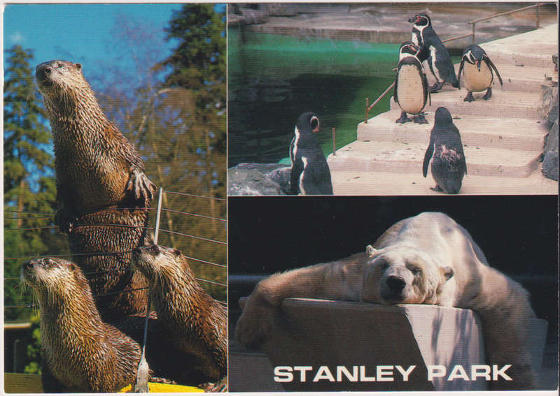 Post Cards / Maxi Card not used