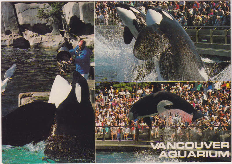 Post Cards / Maxi Card not used
