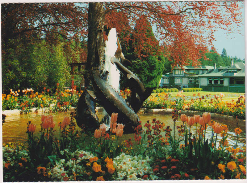 Post Cards / Maxi Card not used