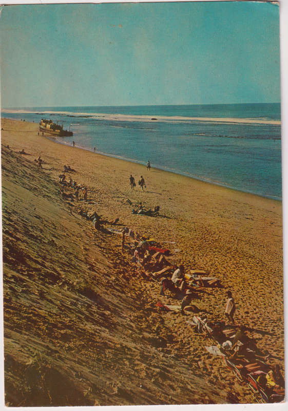 Post Cards / Maxi Card not used