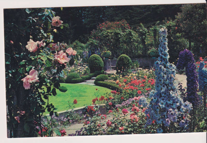 Post Cards / Maxi Card not used