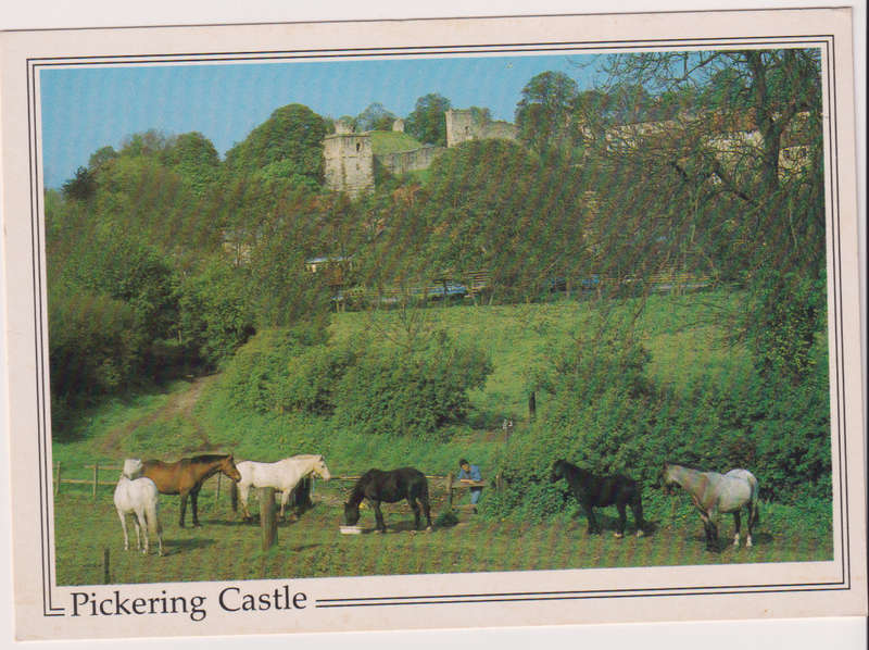 Post Cards / Maxi Card not used