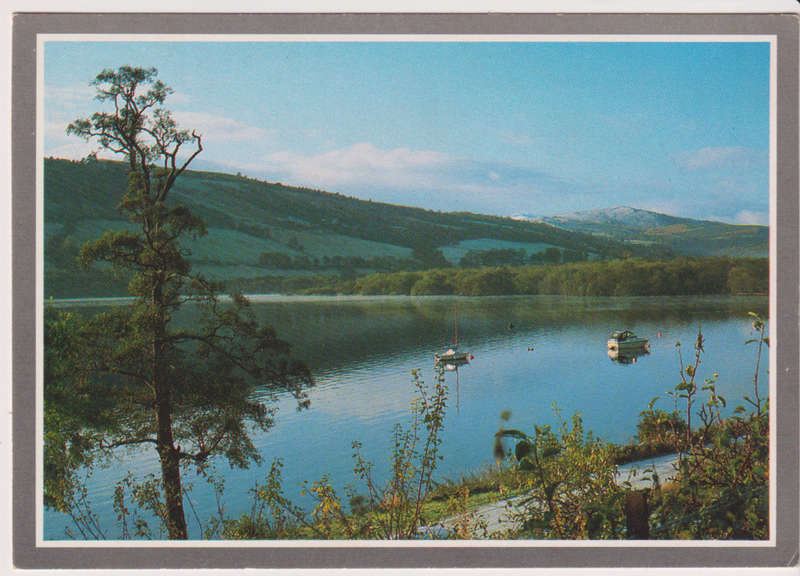 Post Cards / Maxi Card not used