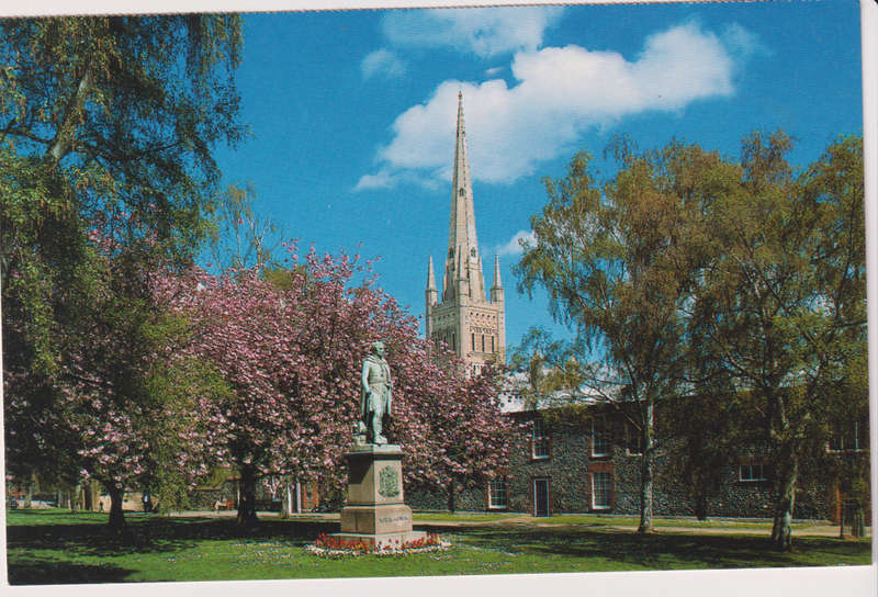 Post Cards / Maxi Card not used