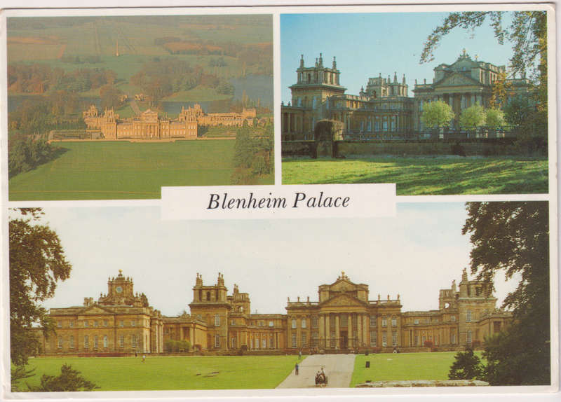 Post Cards / Maxi Card not used