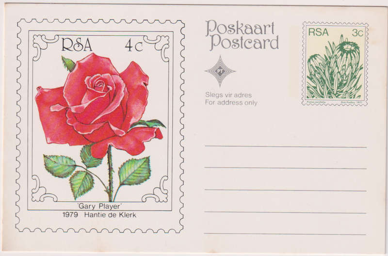 Post Card / Maxi Card Not used