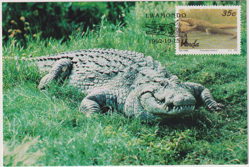 Post Card / Maxi Card Not used