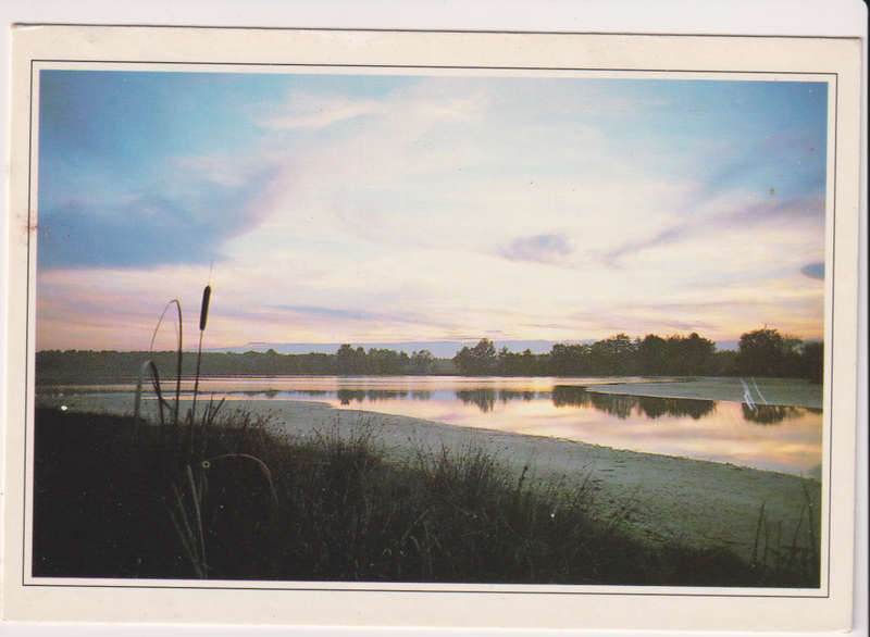 Post Card / Maxi Card used
