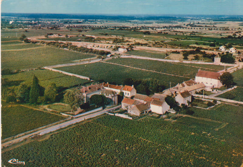 Post Card / Maxi Card used