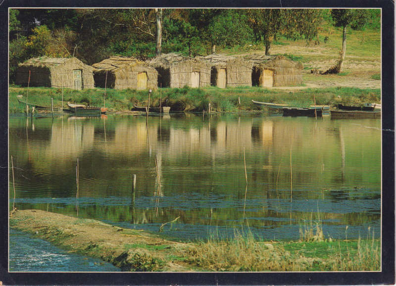 Post Card / Maxi Card Not used