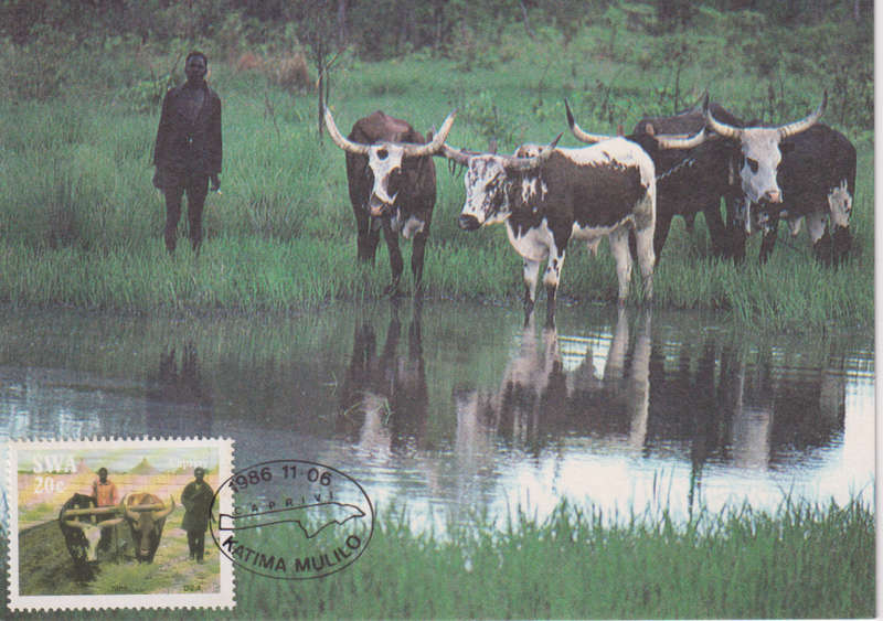 Post Card / Maxi Card Not used