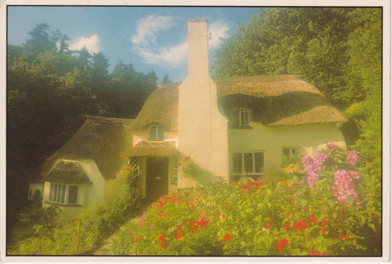 Post Card / Maxi Card used
