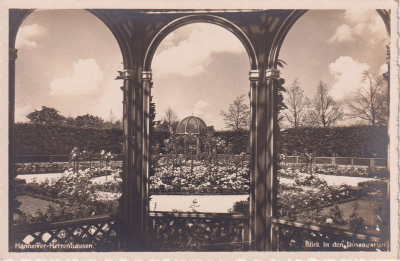 Post Cards / Maxi Card not used