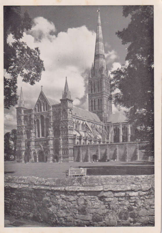 Post Cards / Maxi Card not used
