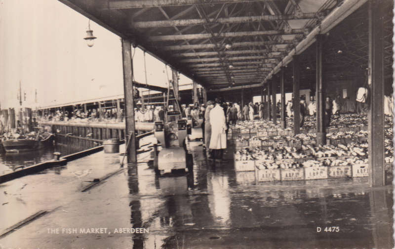 Post Cards / Maxi Card not used