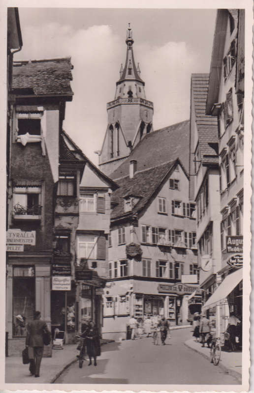 Post Cards / Maxi Card not used