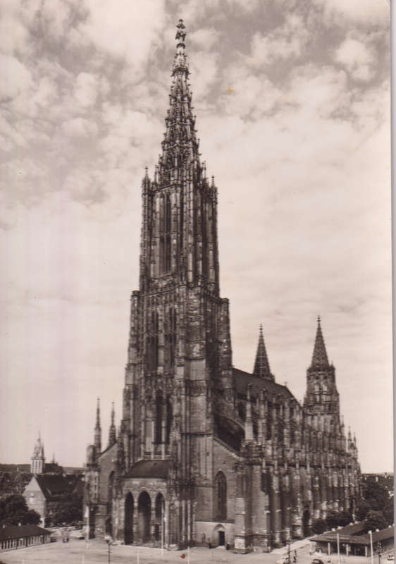 Post Cards / Maxi Card not used