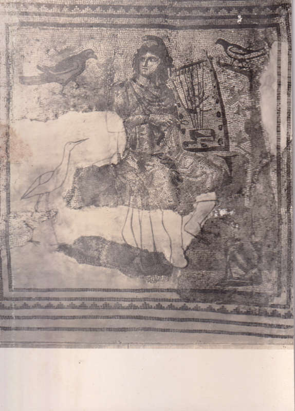 Post Cards / Maxi Card not used