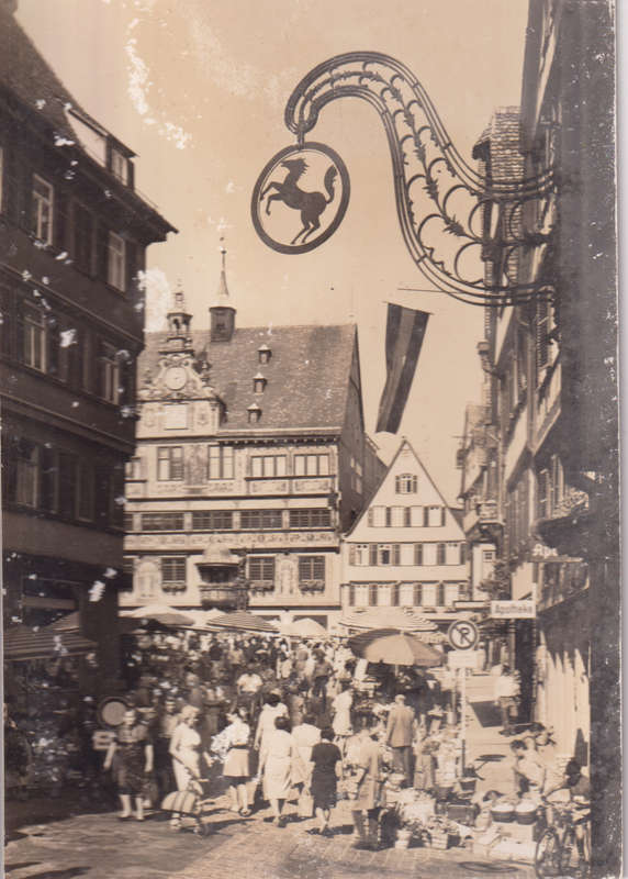 Post Cards / Maxi Card not used