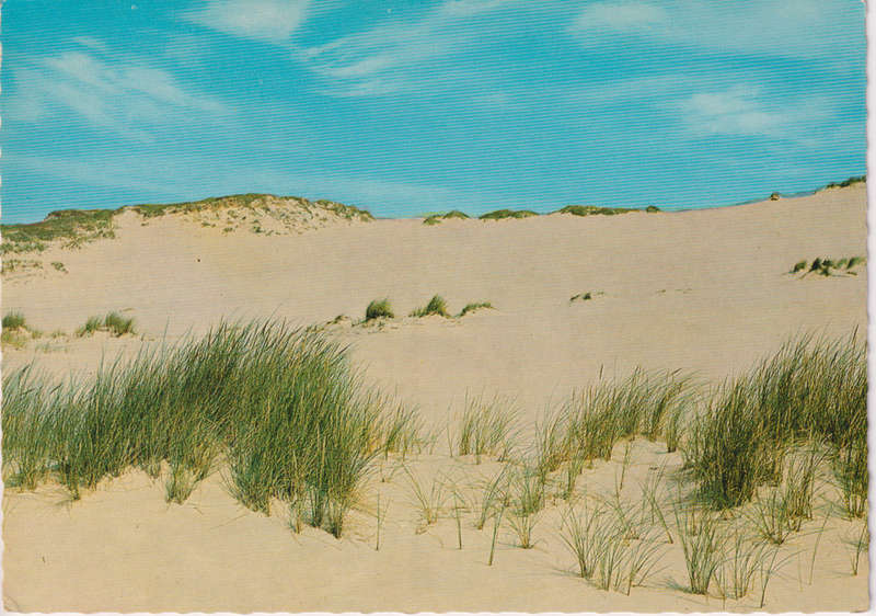 Post Cards / Maxi Card used